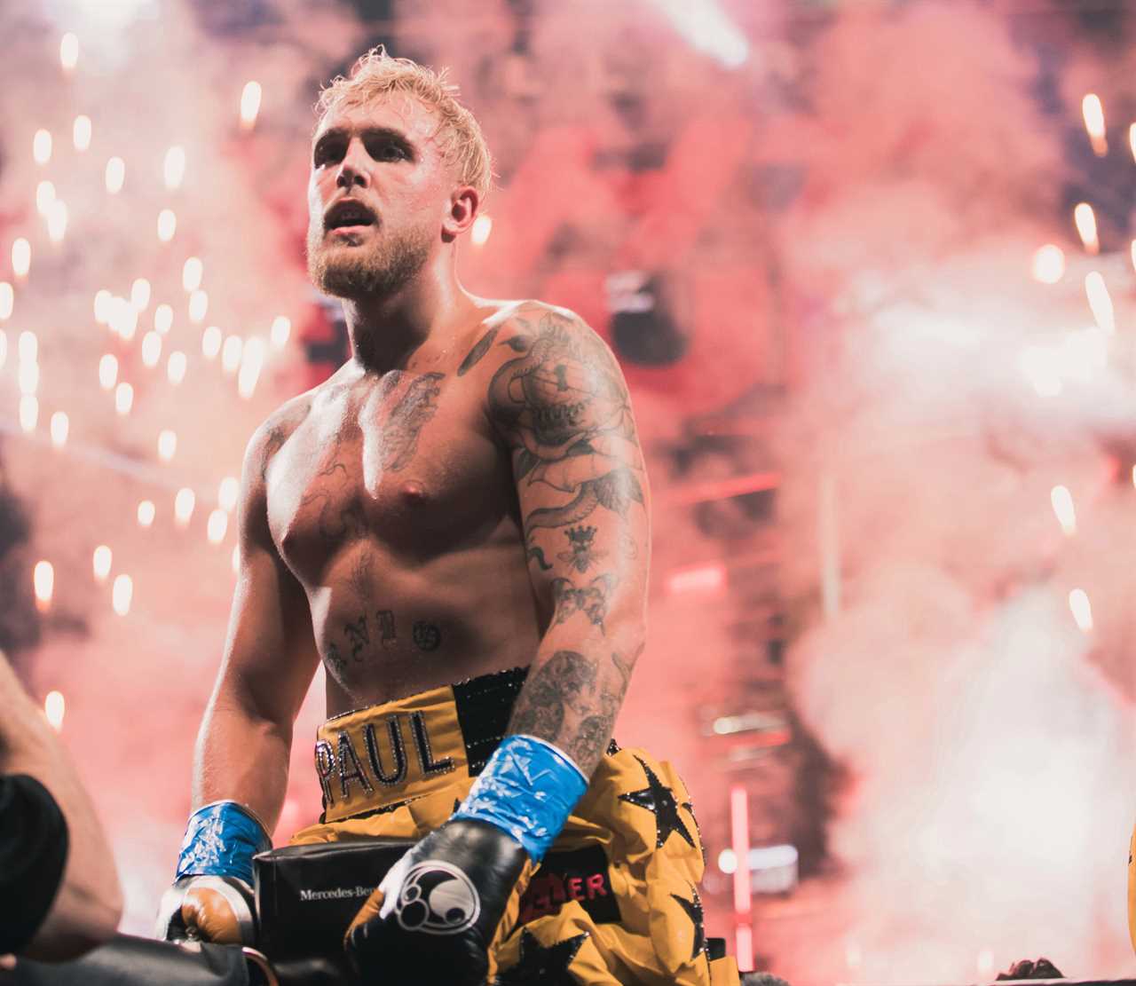 Jake Paul shares his dream to become WORLD CHAMPION in order to prove that YouTubers are not real fighters.