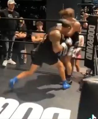 UFC legend Vitor Bealfort FLOORS Bryce Hall sparring with vicious punch leaving TikTok star, in agony