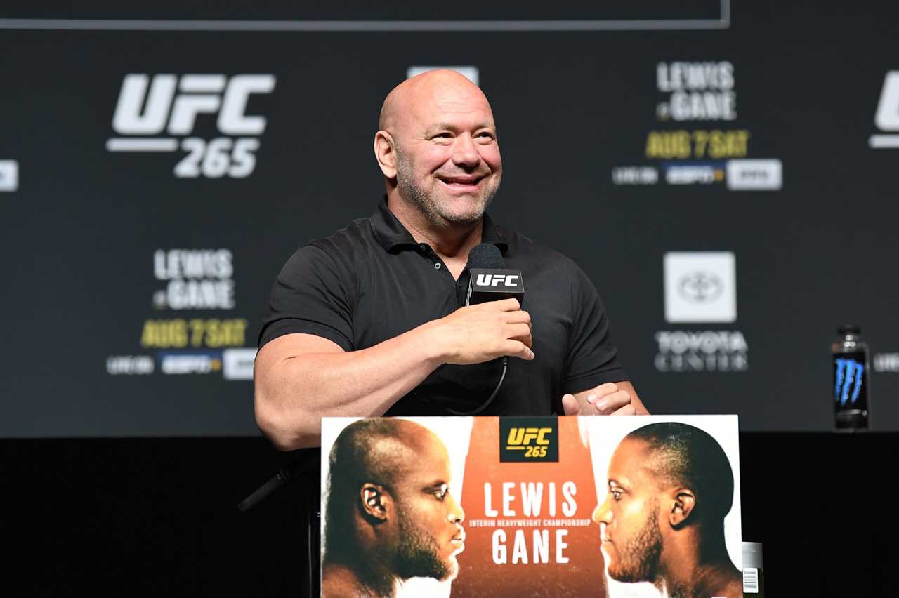 Floyd Mayweather knew he looked old in the Logan Paul fight, but Dana White, UFC boss, said that the YouTuber did a great job.