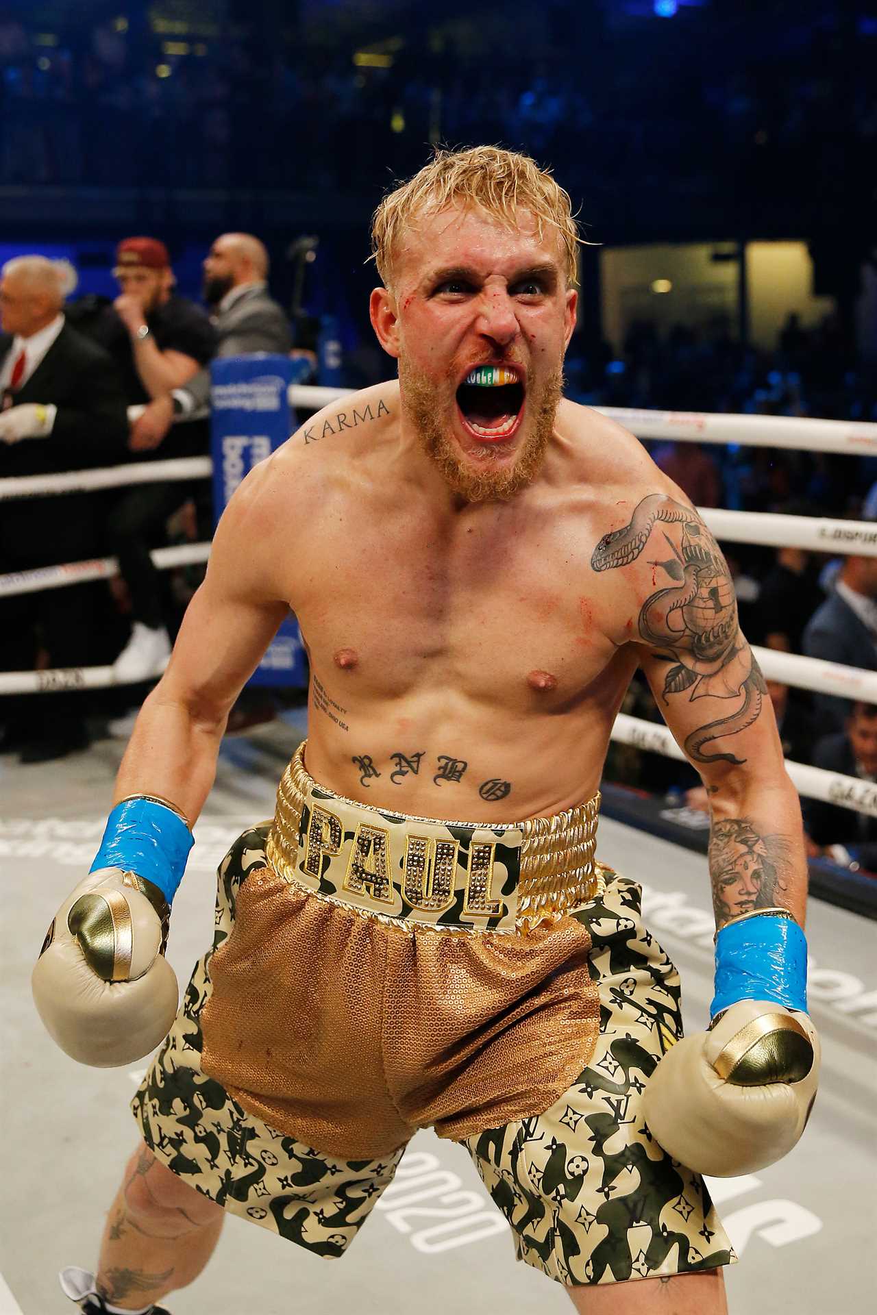 Jake Paul hopes to make Conor McGregor, UFC star, 'go crazy' and lose his s ***'. He also vows to beat him up in a boxing match
