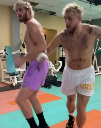 Logan Paul claims ex-UFC star Tyron Whiteley is 'f***ed and should be scared'. Jake shares a day at fight camp