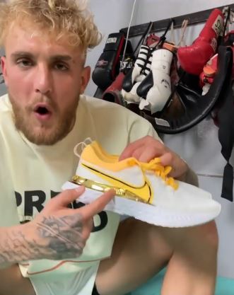 Logan Paul claims ex-UFC star Tyron Whiteley is 'f***ed and should be scared'. Jake shares a day at fight camp