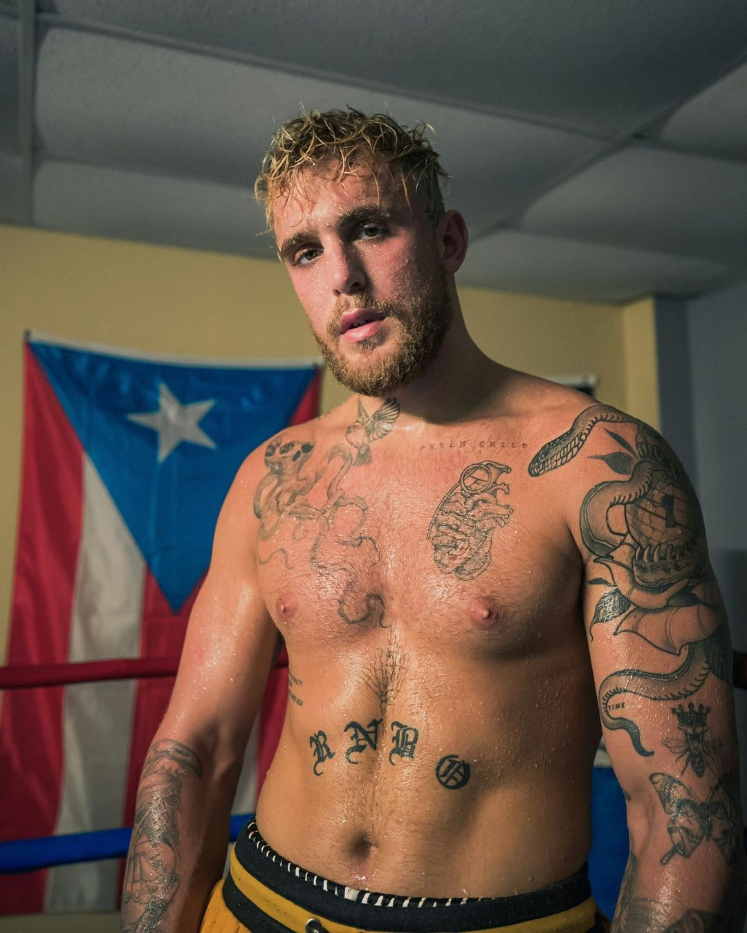 Jake Paul sparring partner Conor McGregor says a fight with him 'would be competitive,' because YouTuber has THREE STONE advantages