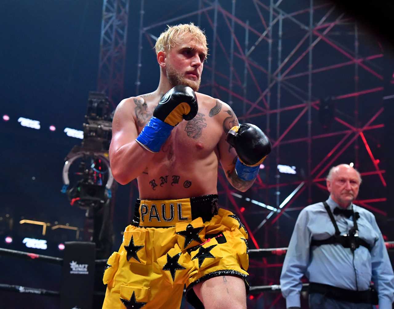 Jake Paul compares knockout to Mike Tyson. He says, I love the hateers as it translates to pay-per view buys.