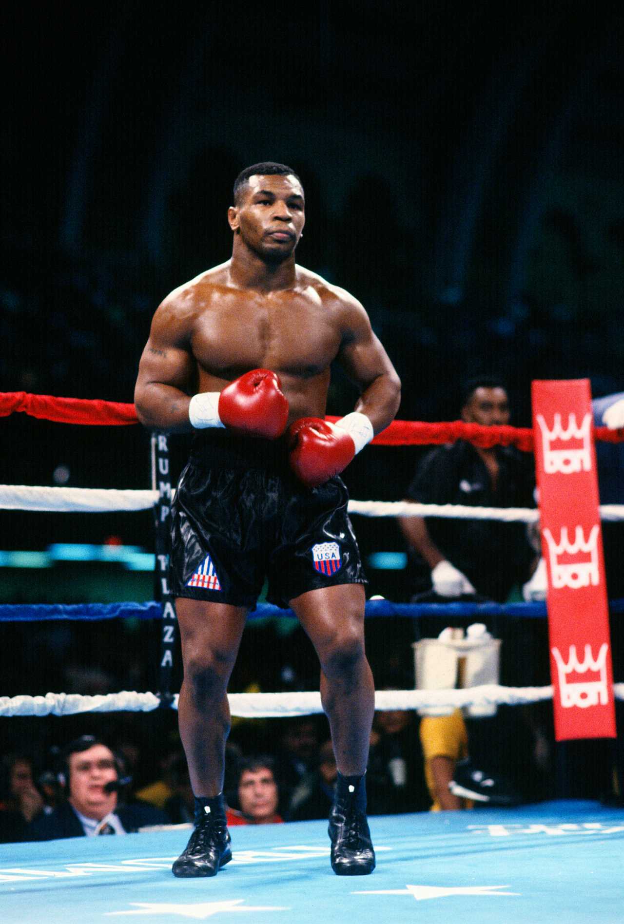 Jake Paul compares knockout to Mike Tyson. He says, I love the hateers as it translates to pay-per view buys.