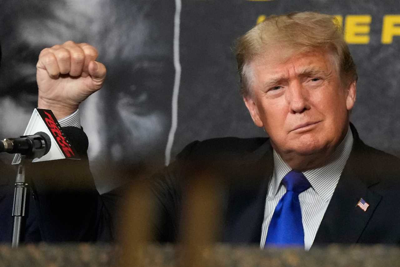 Donald Trump lashed out at David Haye for his commentary during his victory over Joe Fournier, and said that 'audience loves politics better'
