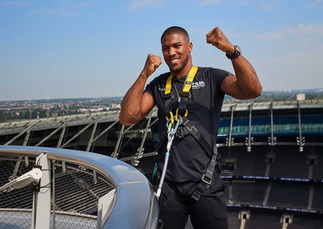 Anthony Joshua vs Oleksandr Uzyk fight purses. How much could AJ and his Ukrainian opponent bankroll from a world title bout?