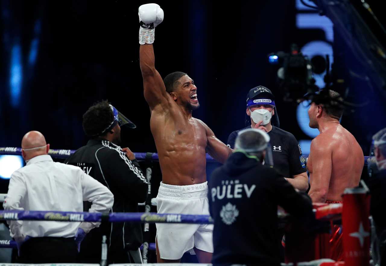 Anthony Joshua must face four opponents before he can retire, including Tyson Fury and Deontay Wilder.