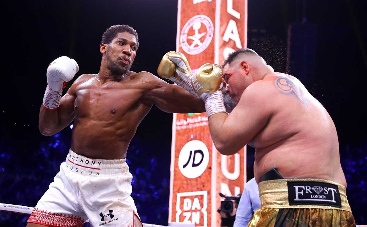 Anthony Joshua must face four opponents before he can retire, including Tyson Fury and Deontay Wilder.