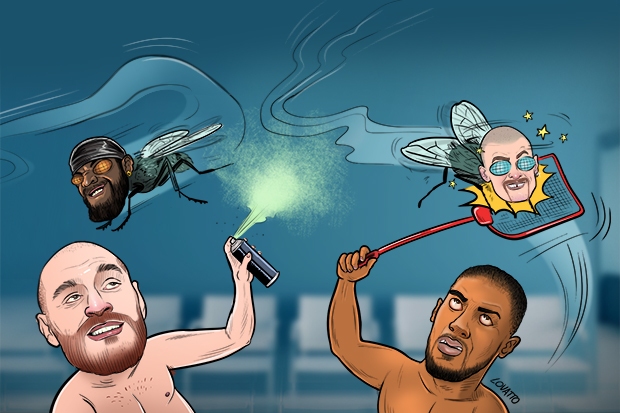Joshua vs Fury is the heavyweight clash everyone desires to see, but Usyk & Wilder are more than distracting distractions