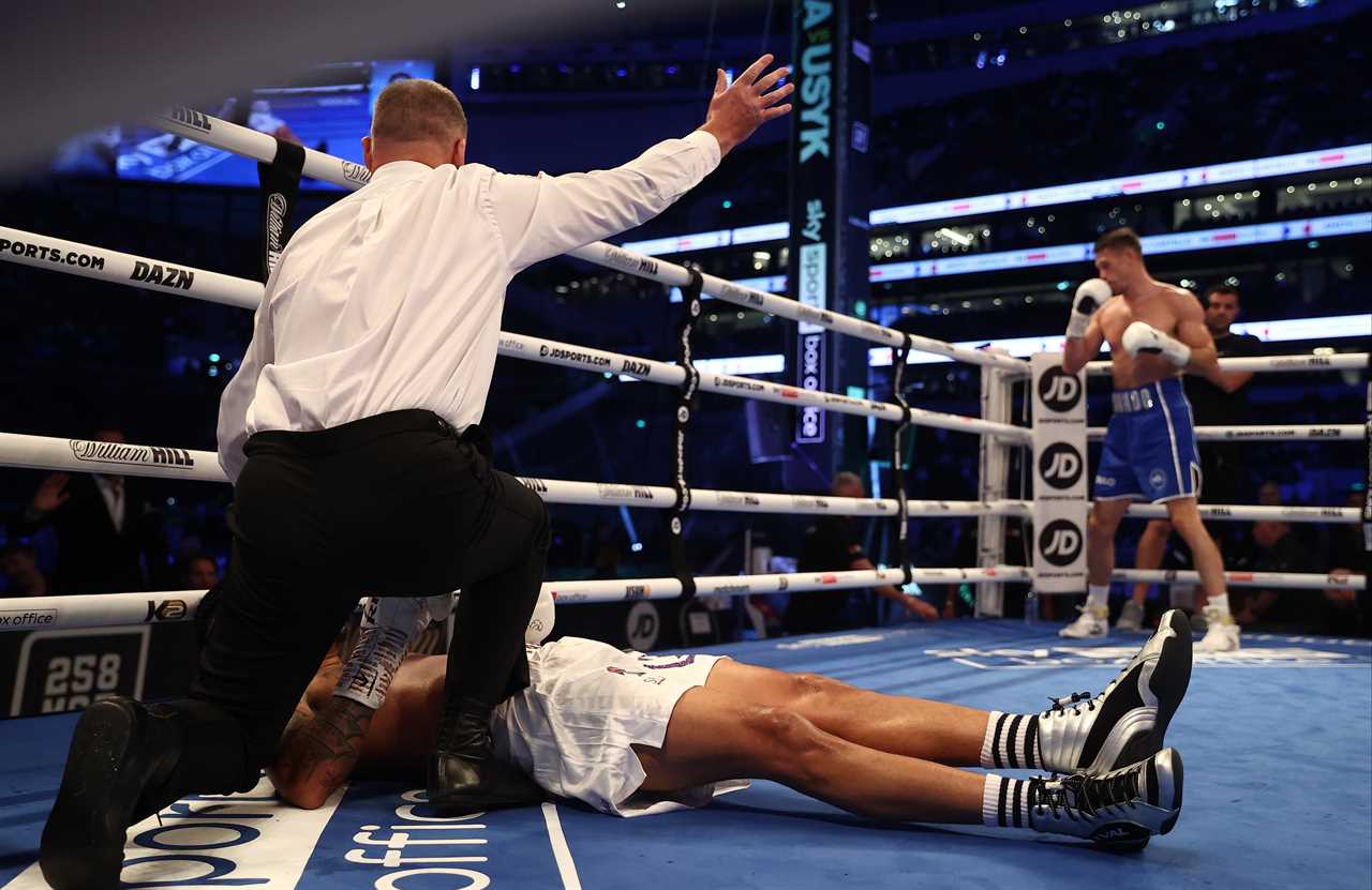 The referee instantly waved off the fight after the devastating KO