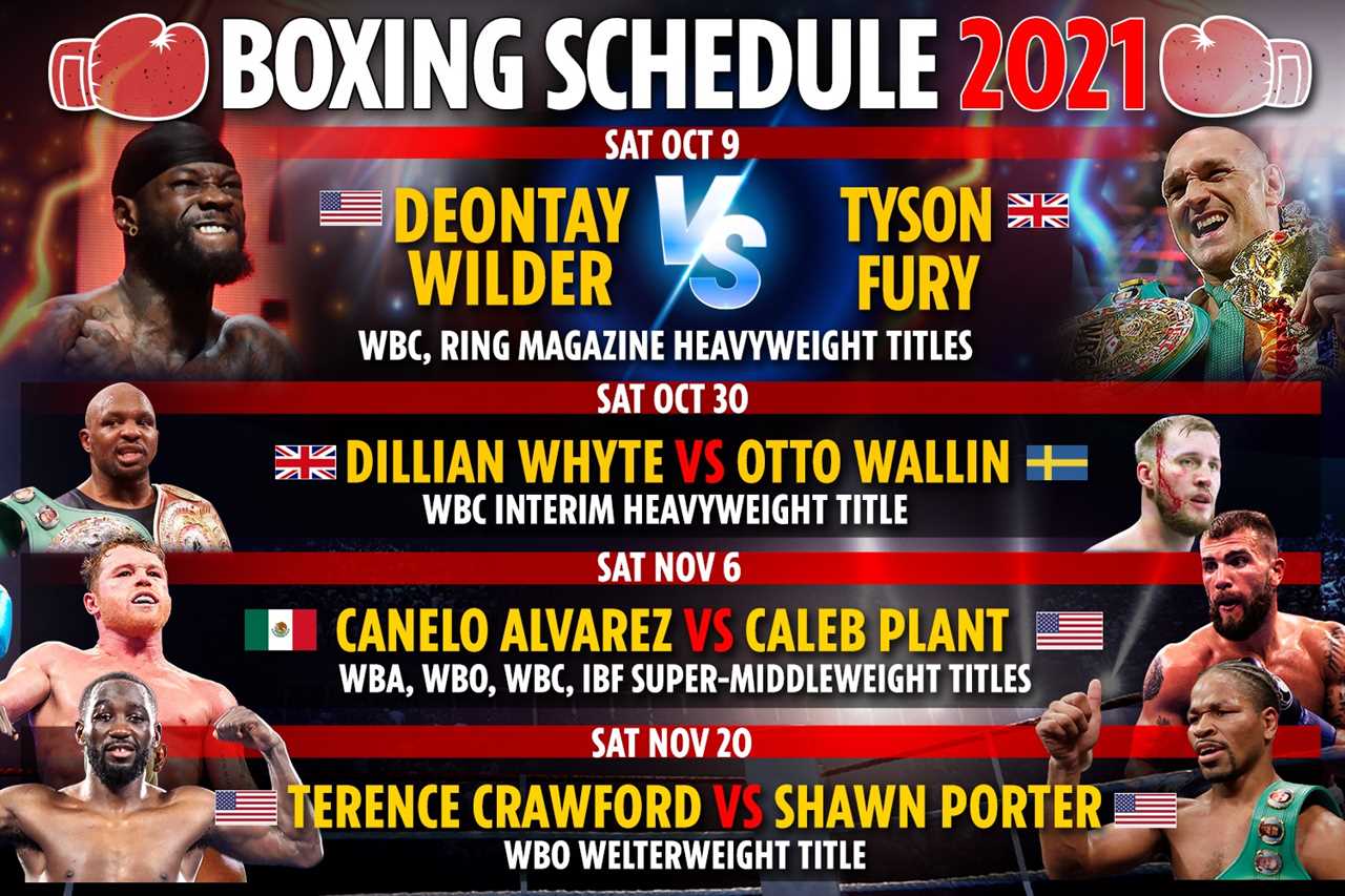 Upcoming boxing fights 2021: Fixture schedule – Tyson Fury vs Deontay Wilder 3 THIS WEEK, Canelo Alvarez next fight DATE