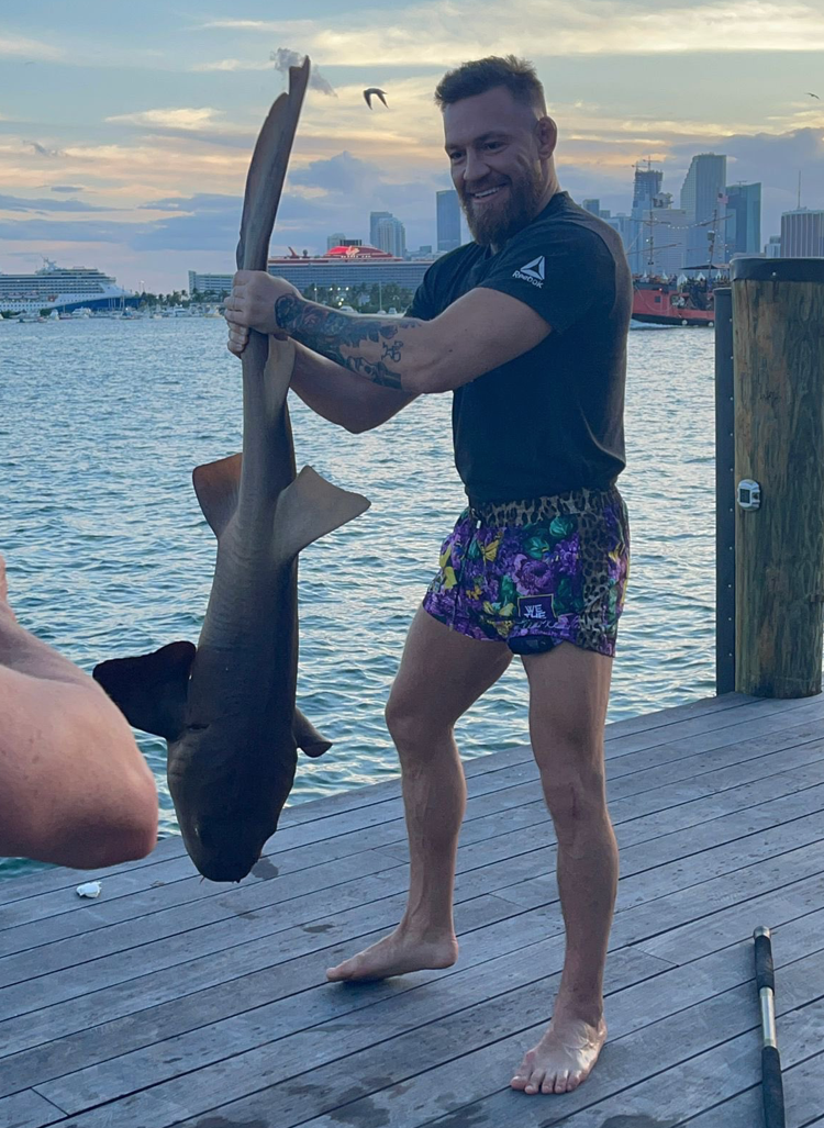 Conor McGregor throws a SHARK into the sea after catching one, as he encourages his fans to 'protect our ocean'