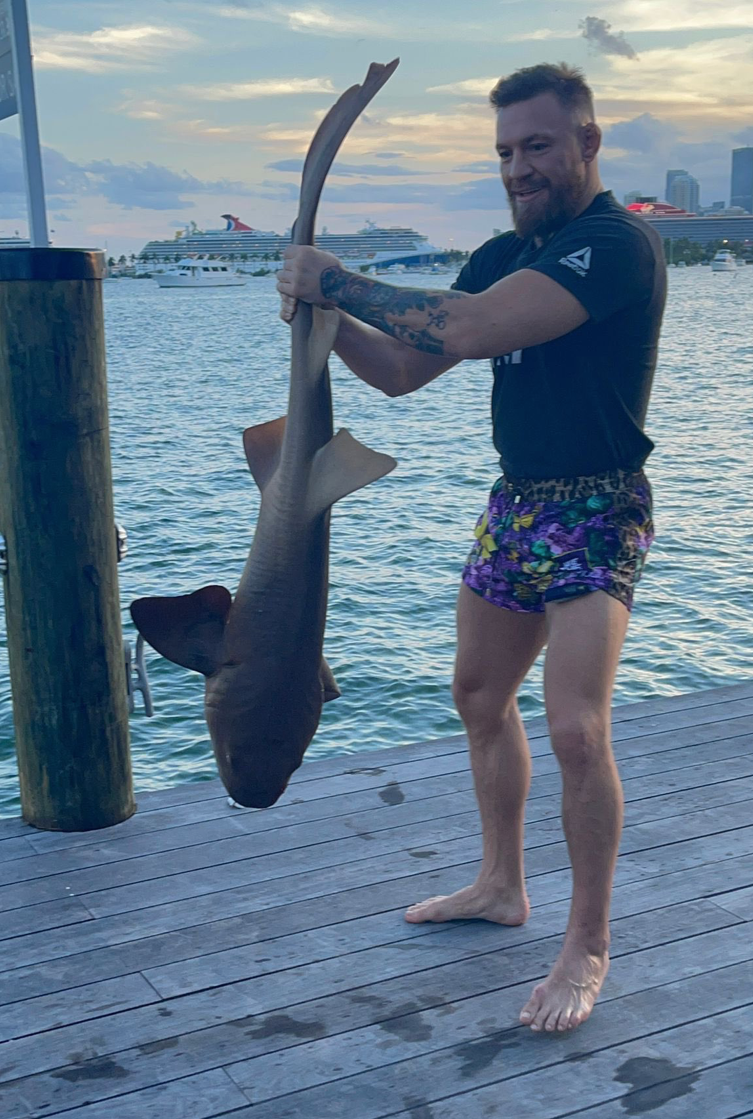 Conor McGregor throws a SHARK into the sea after catching one, as he encourages his fans to 'protect our ocean'