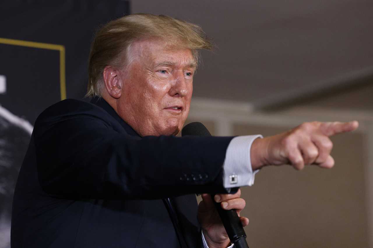 Donald Trump was very pleased that Tyson Fury beat Deontay Wilder, and was shocked by the fight