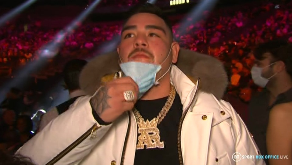 Stars at Fury vs Wilder fight include Magic Johnson, Vince Vaughn and Tyson's spouse Paris