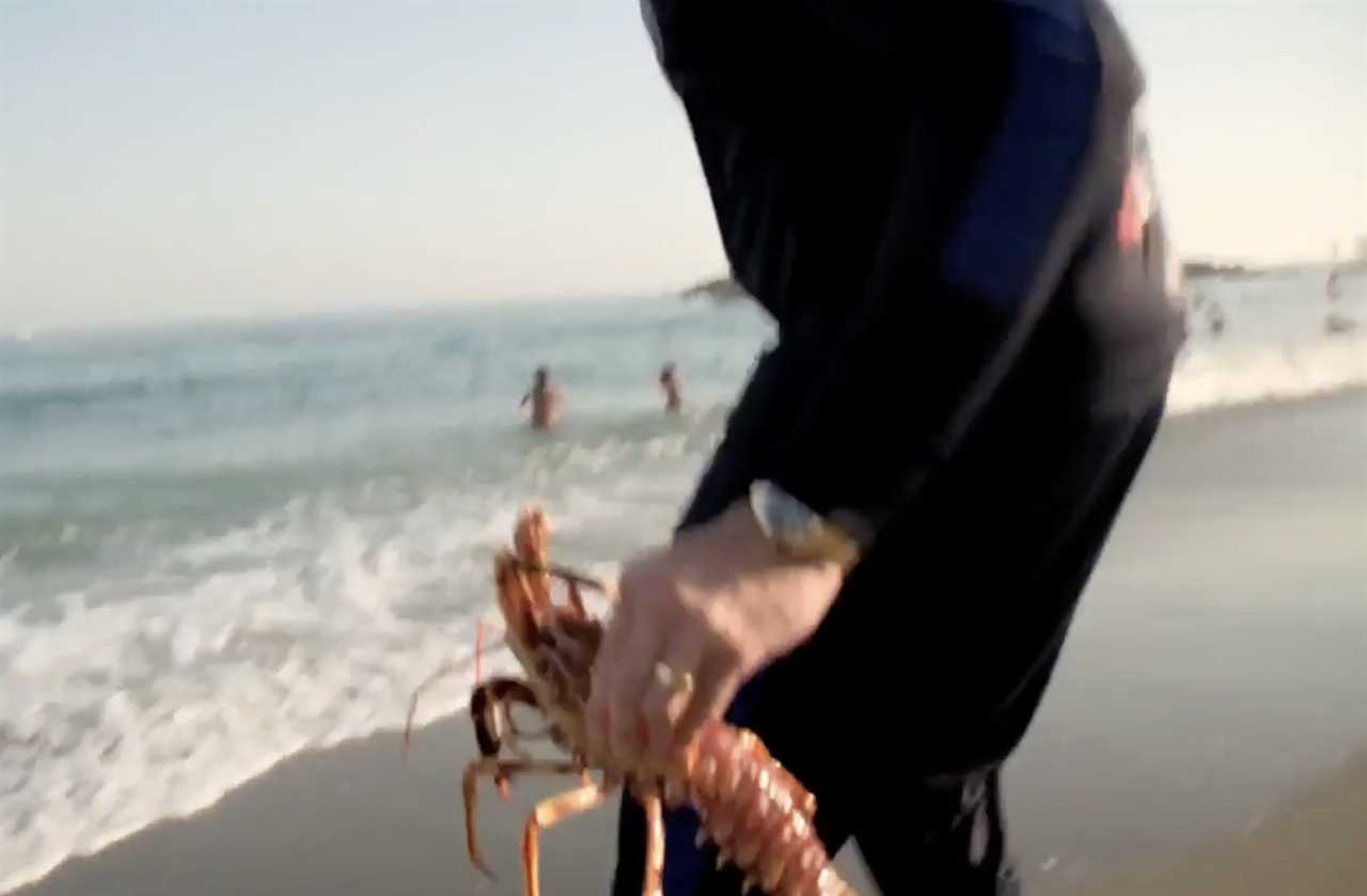 Tyson Fury is kind-hearted, from charity donations to homeless men to releasing lobsters into the sea to giving shoes to them all
