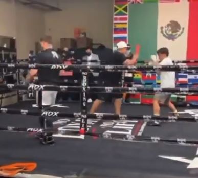 Manny Pacquiao's son Emmanuel Jr., 20 years old, trains with Canelo Alvarez, a superstar in the field of athletics. He hopes to follow his father's footsteps.