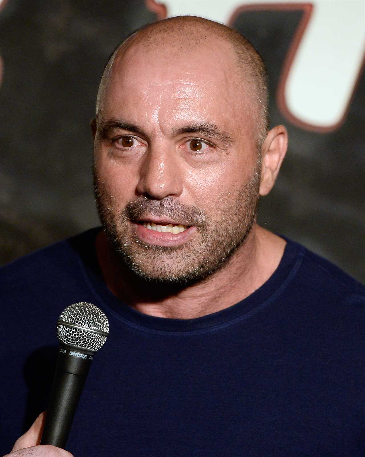 According to Joe Rogan, Tyson Fury's long count after being floored in the first round by Deontay wilder was an error or corruption.