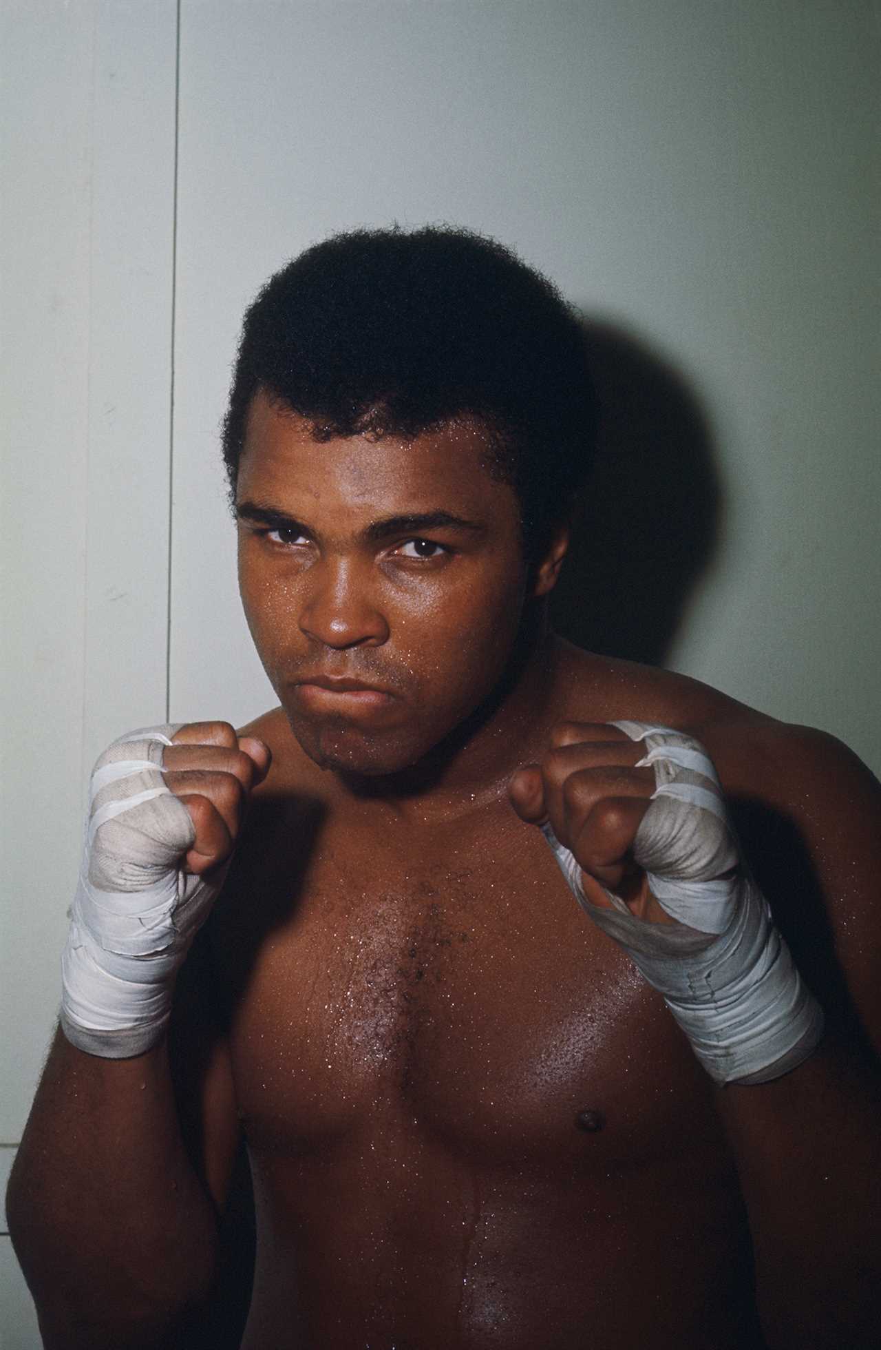 Francis Ngannou, UFC champion, names Mike Tyson and Muhammad Ali as his dream fighters in heavyweight boxing.