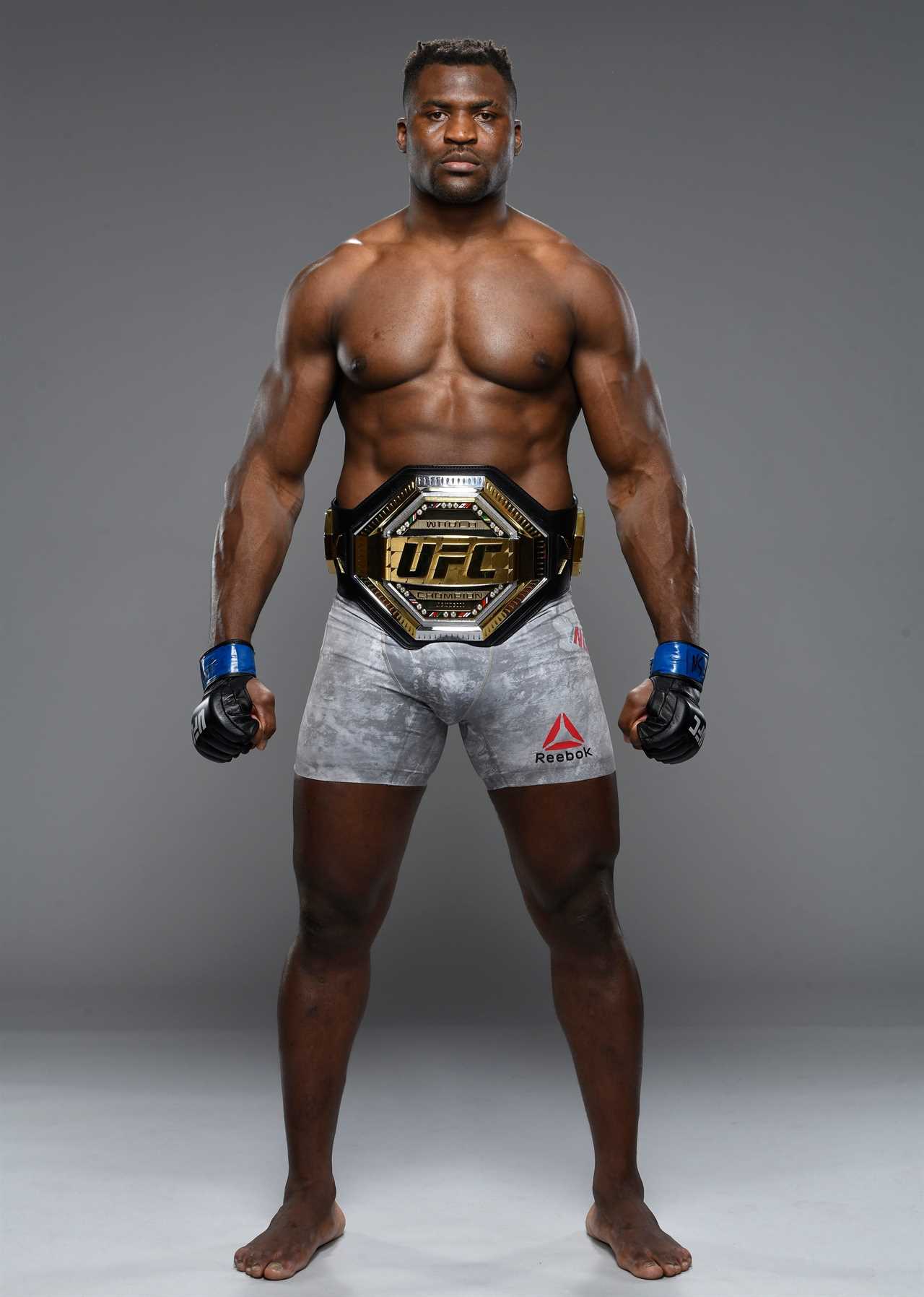 Francis Ngannou, UFC champion, names Mike Tyson and Muhammad Ali as his dream fighters in heavyweight boxing.