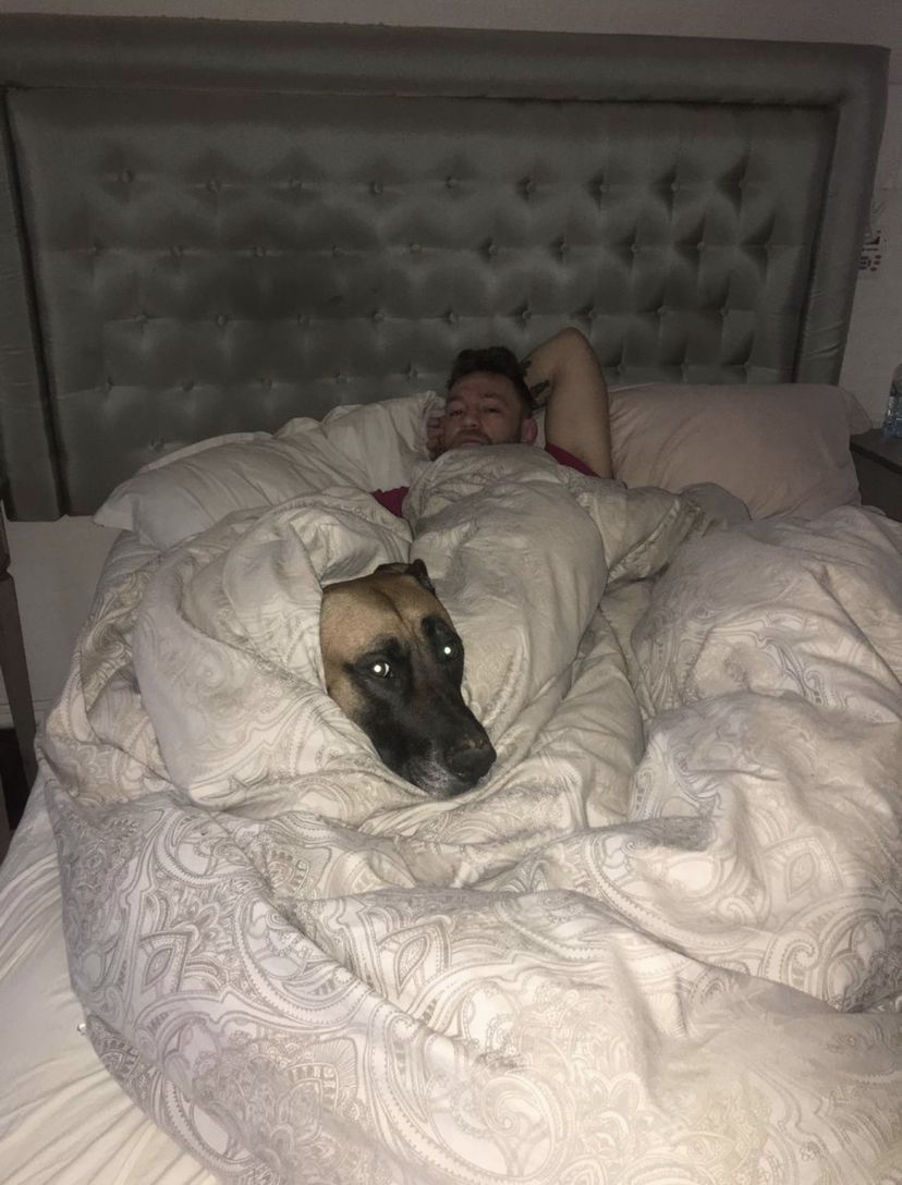 Conor McGregor is 'heartbroken after the death of Hugo, his beloved dog. Hugo was with UFC Star from the beginning of their rags-to-riches journey.