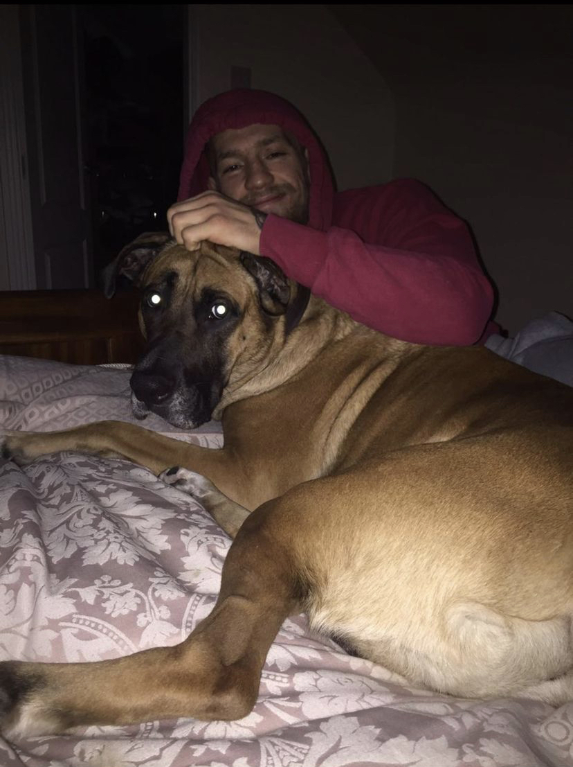 Conor McGregor is 'heartbroken after the death of Hugo, his beloved dog. Hugo was with UFC Star from the beginning of their rags-to-riches journey.