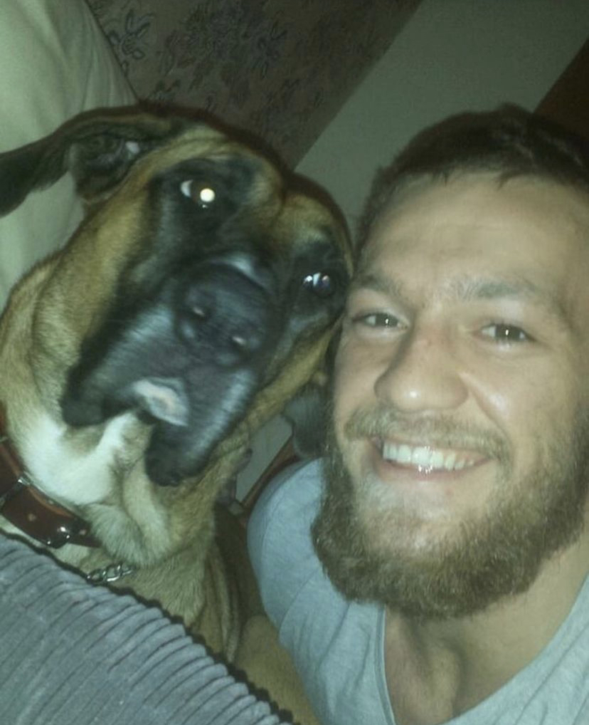 Conor McGregor is 'heartbroken after the death of Hugo, his beloved dog. Hugo was with UFC Star from the beginning of their rags-to-riches journey.