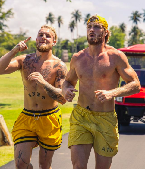Mike Tyson claims that the February comeback fight will be really stimulating amid rumors it could be Logan and Jake Paul