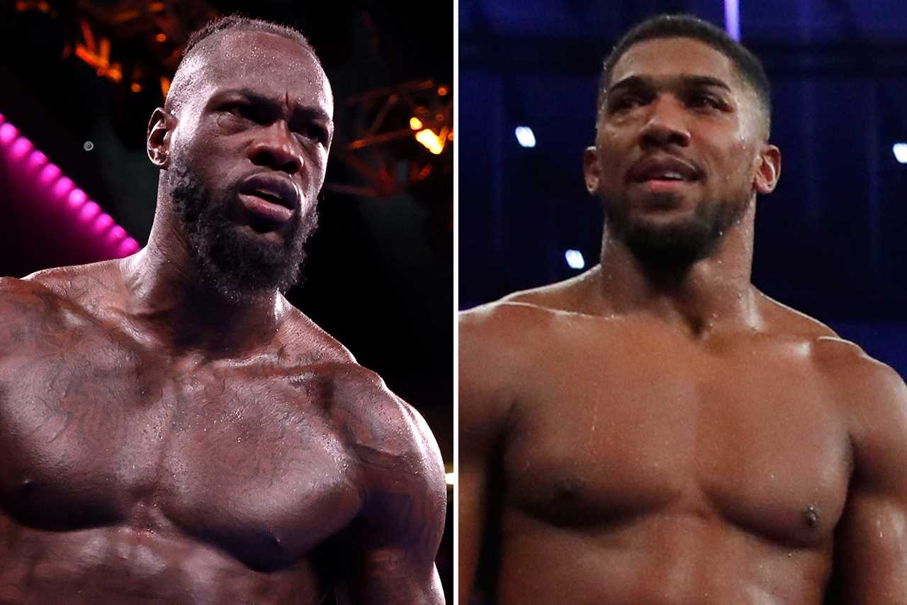 Seven boxing matches fans should see, Tyson Fury against Anthony Joshua or Oleksandr Uzyk against Jake Paul and Tommy Fury against Tommy Fury