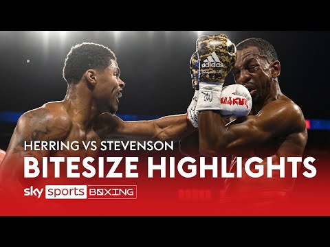 Shakur Stevenson takes the world title from Jamel Herring and puts on a savage performance Bitesize Highlights