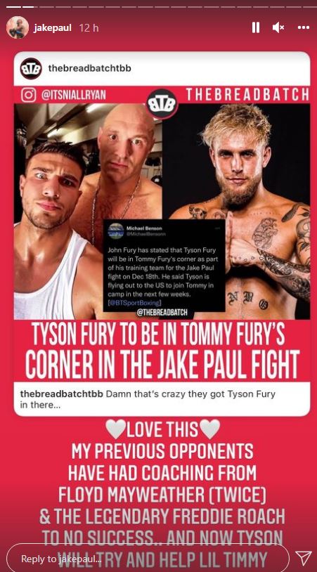 Jake Paul reacts when Tyson Fury helps 'Little Timmy for the December fight. Hasbulla jokes that Jake will be there.