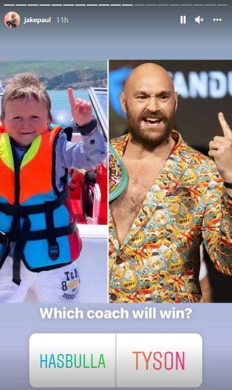 Jake Paul reacts when Tyson Fury helps 'Little Timmy for the December fight. Hasbulla jokes that Jake will be there.