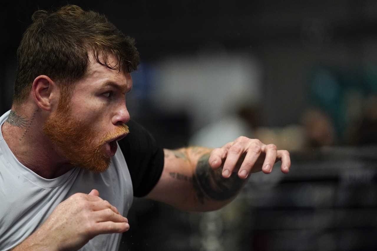 Canelo says Caleb Plant will be brutally KO by Canelo before the eighth round of grudge matches. He tells his opponent to 'control their emotions'