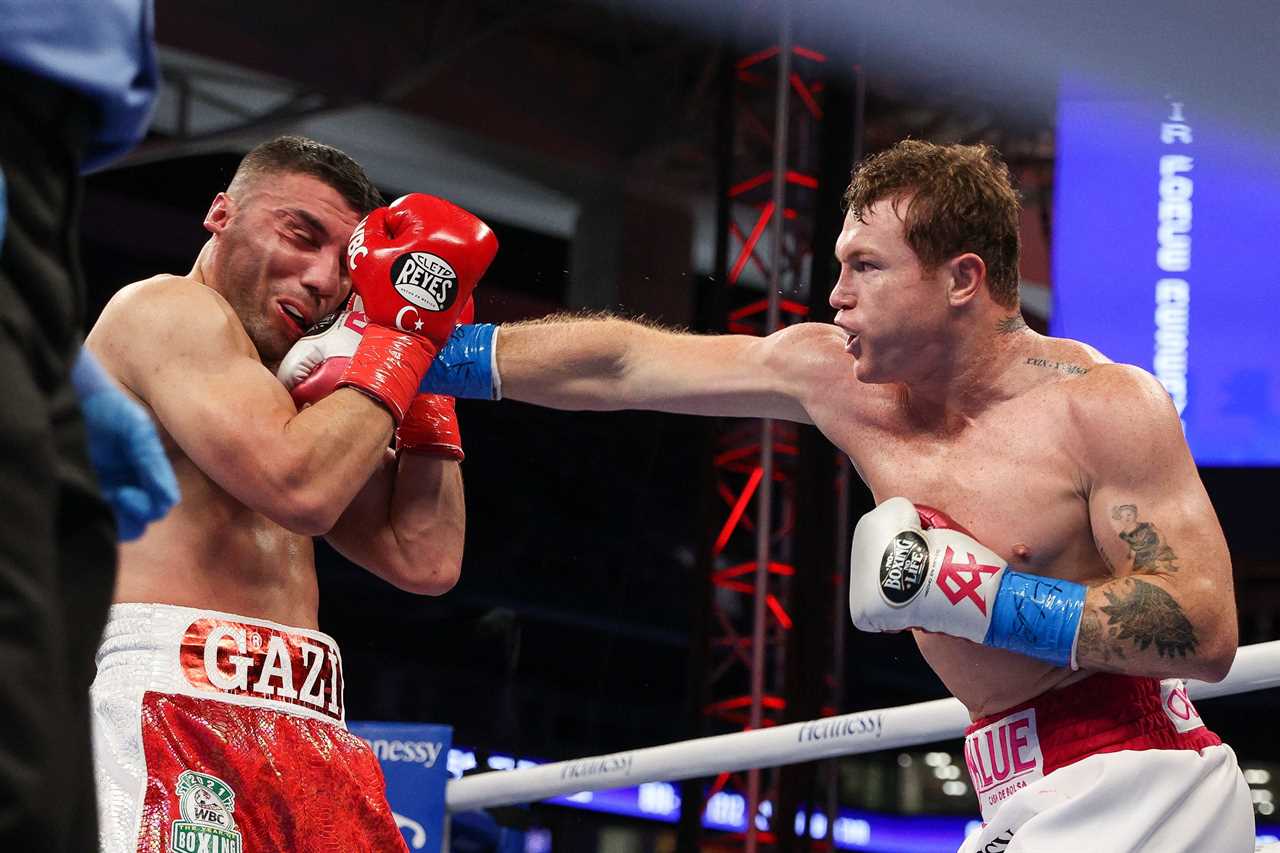 After a YouTuber called out Mexican star Canelo Alvarez, Avni Yildirim, Canelo's ex-opposit tells Jake Paul to stay being a fan.