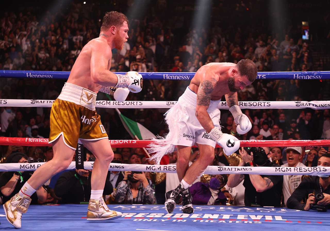 Dana White was pictured sitting in front row at UFC 268, watching Canelo alvarez's fight against Caleb Plant.