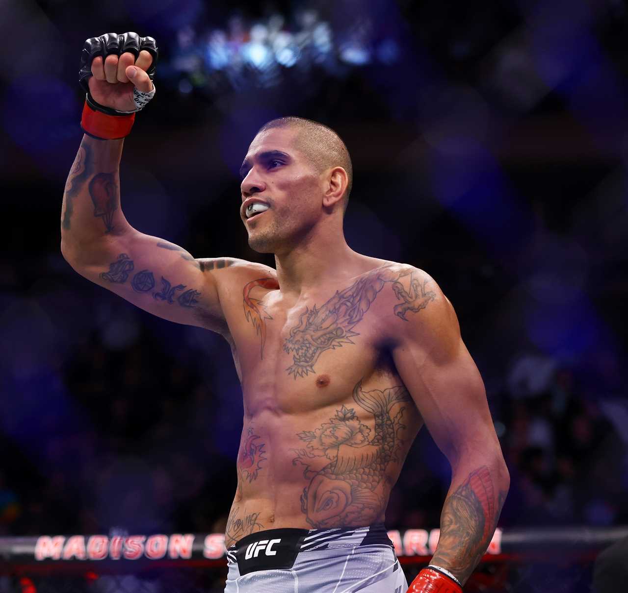 Watch Alex Pereira make a stunning UFC debut by submitting Andreas Michailidis to a brutal knee.