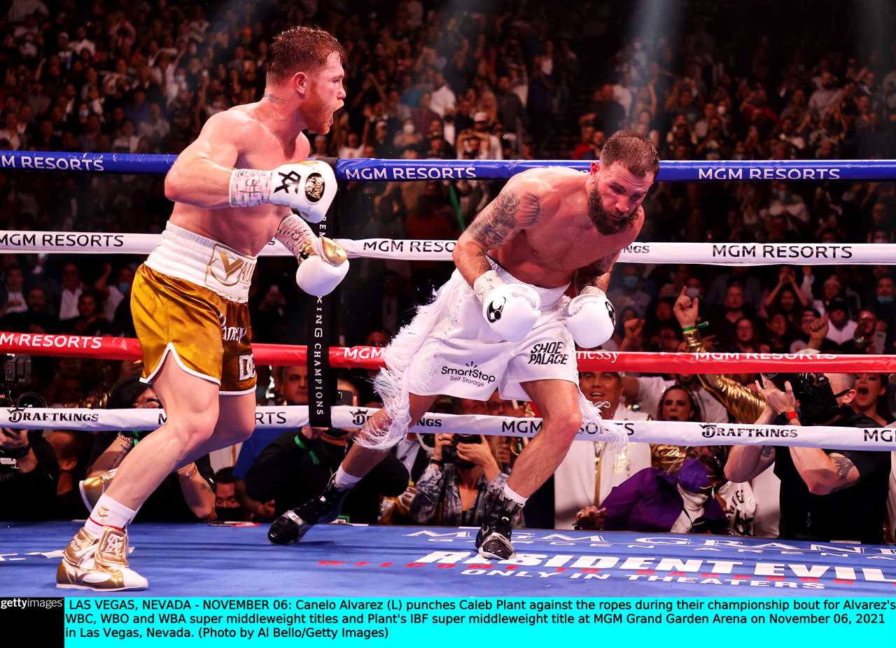 UFC chief Dana White wins staggering $100,000 bet after backing Canelo Alvarez against Caleb Plant