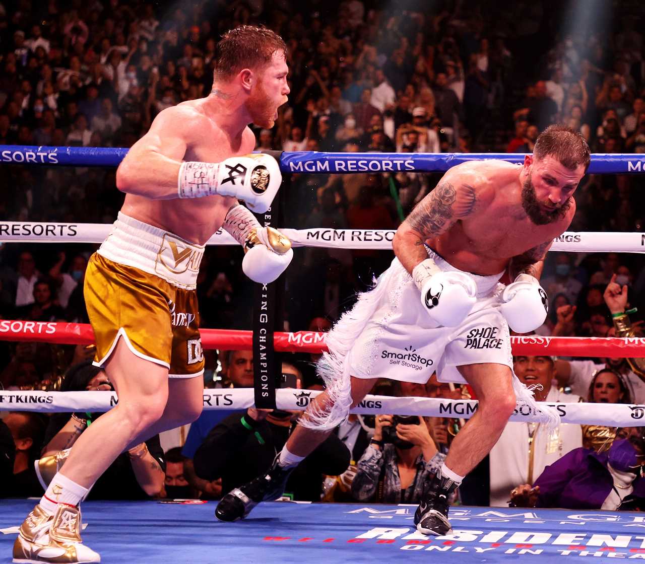UFC chief Dana White wins staggering $100,000 bet after backing Canelo Alvarez against Caleb Plant