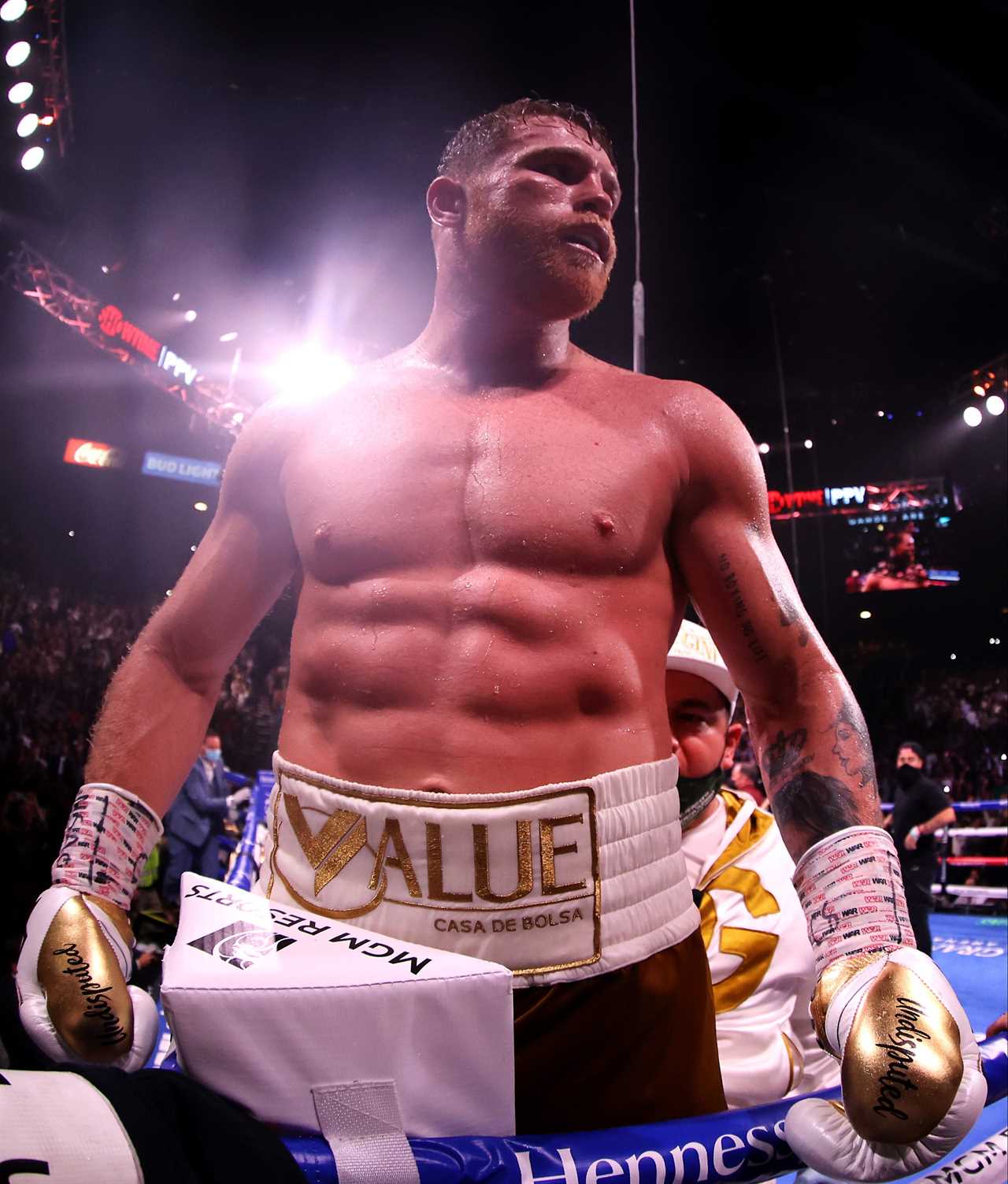Caleb Plant was so confident that Canelo Alvarez would beat him, he had 'undisputed' written on the gloves before he won his belts