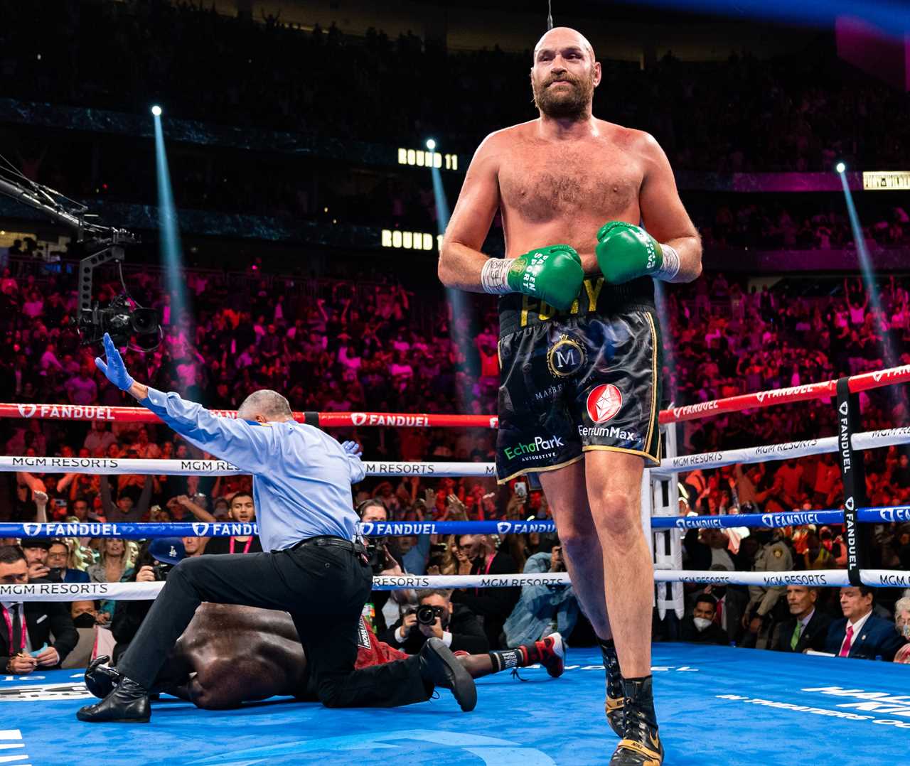 Logan Paul calls Tyson Fury, boxing's star, for an MMA fight. He said that 'the bigger they get, the harder they fall.