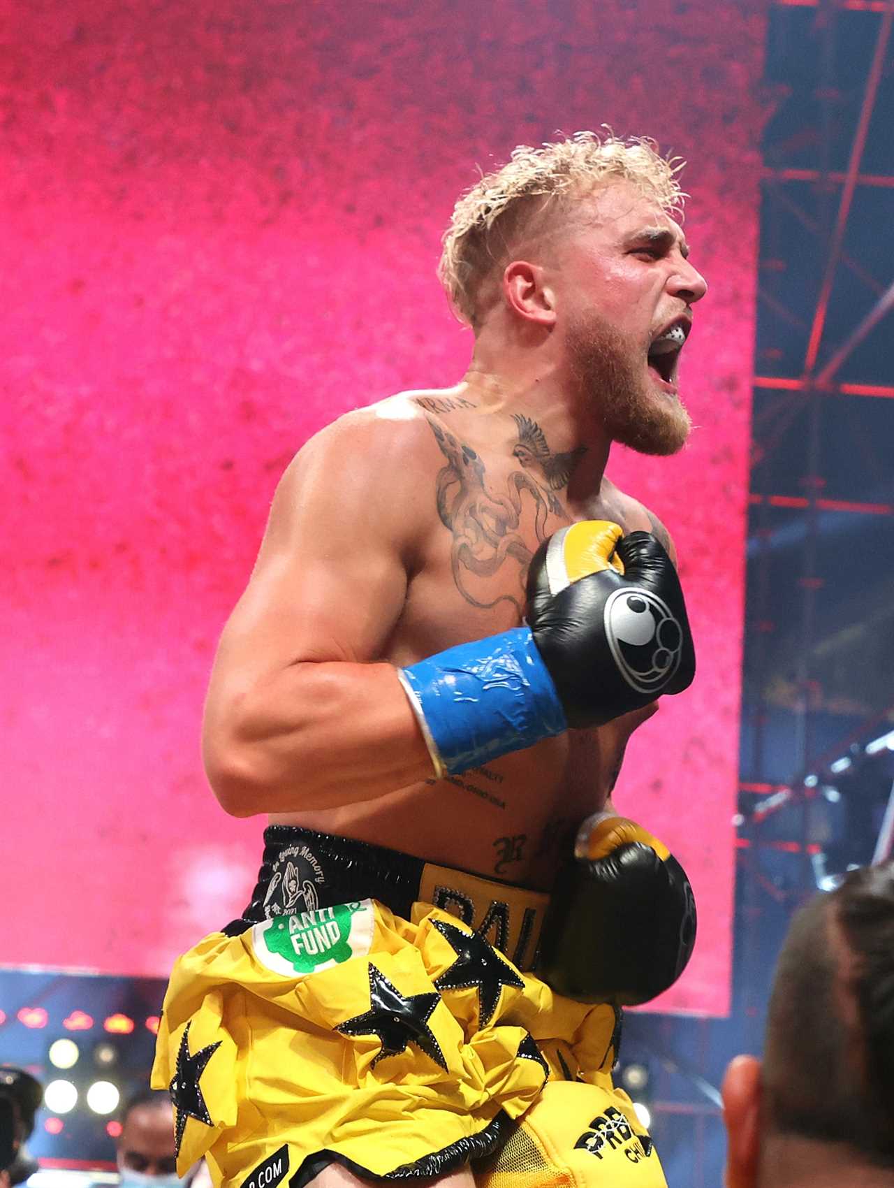 Jake Paul predicts Tommy Fury fight and declares that the rival is 'going away'