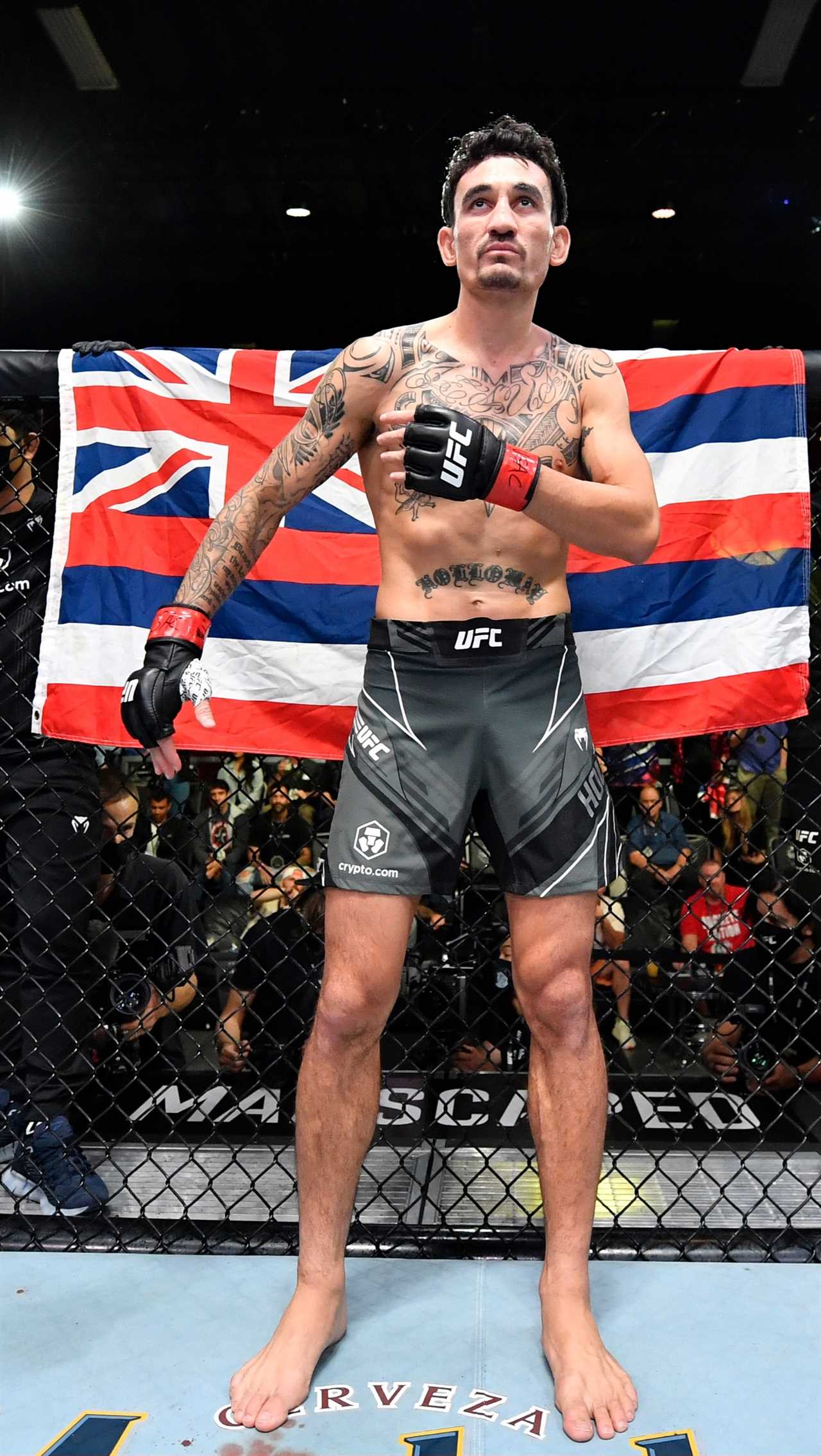 Conor McGregor and Max Holloway set their sights on a blockbuster rematch. A menacing video shows Conor McGregor attempting to take down a former UFC competitor