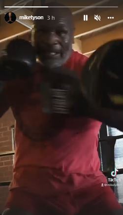 Watch Mike Tyson (55) train in his pants while he displays blistering speed ahead of Logan Paul fight