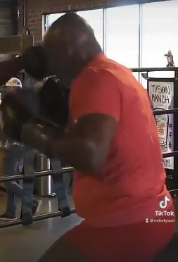 Watch Mike Tyson (55) train in his pants while he displays blistering speed ahead of Logan Paul fight