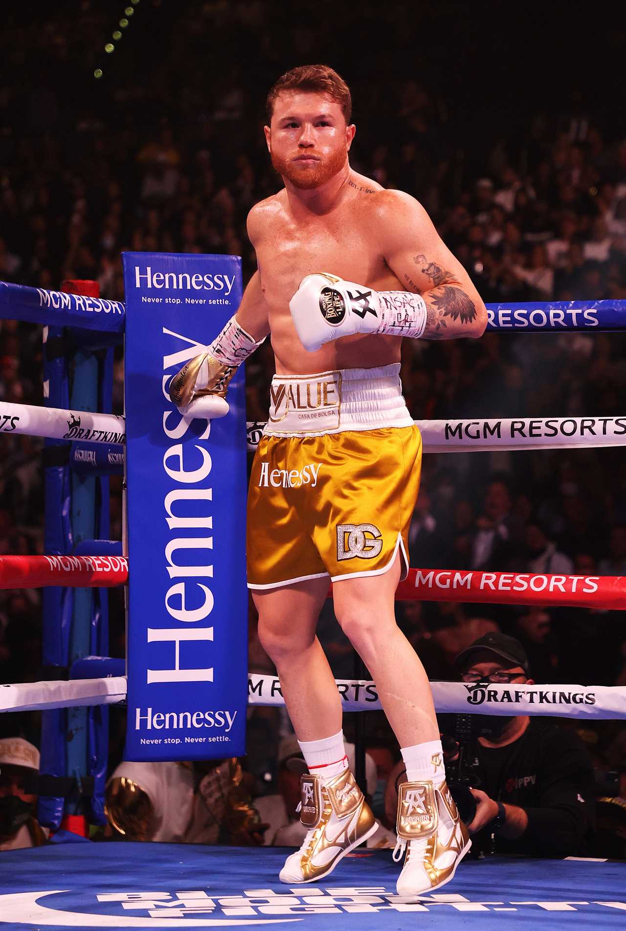 Jake Paul claims that Canelo Alvarez fight will definitely happen despite denying rigging win allegations.