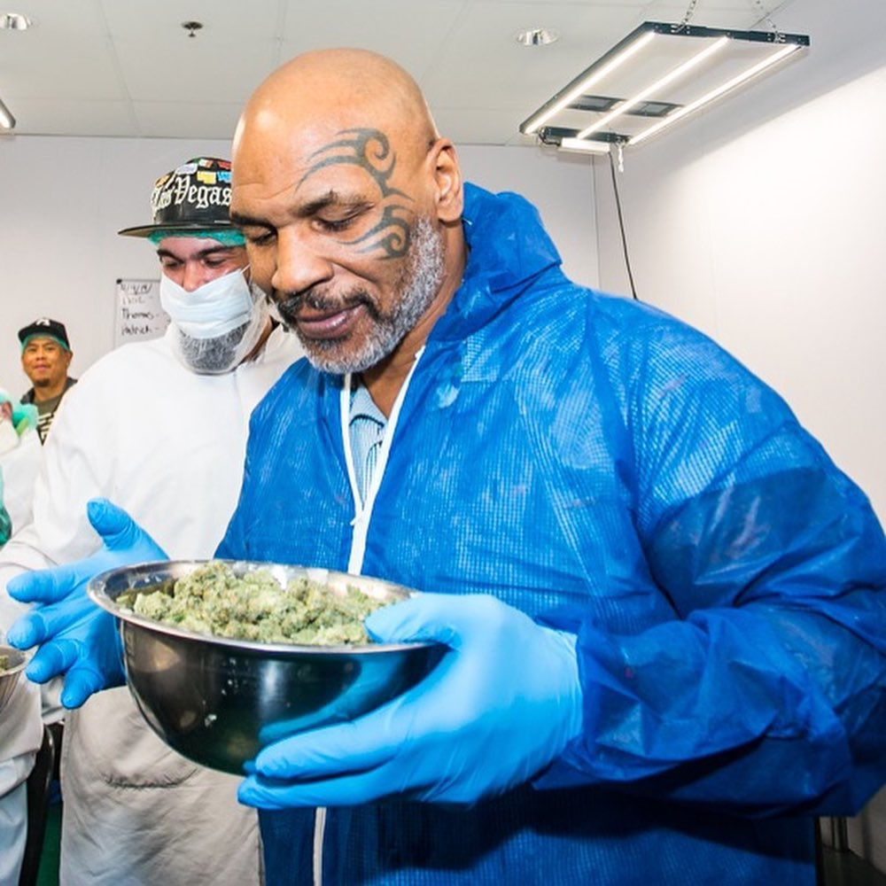 Mike Tyson accepts the invitation from Malawi's government to be their official cannabis ambassador