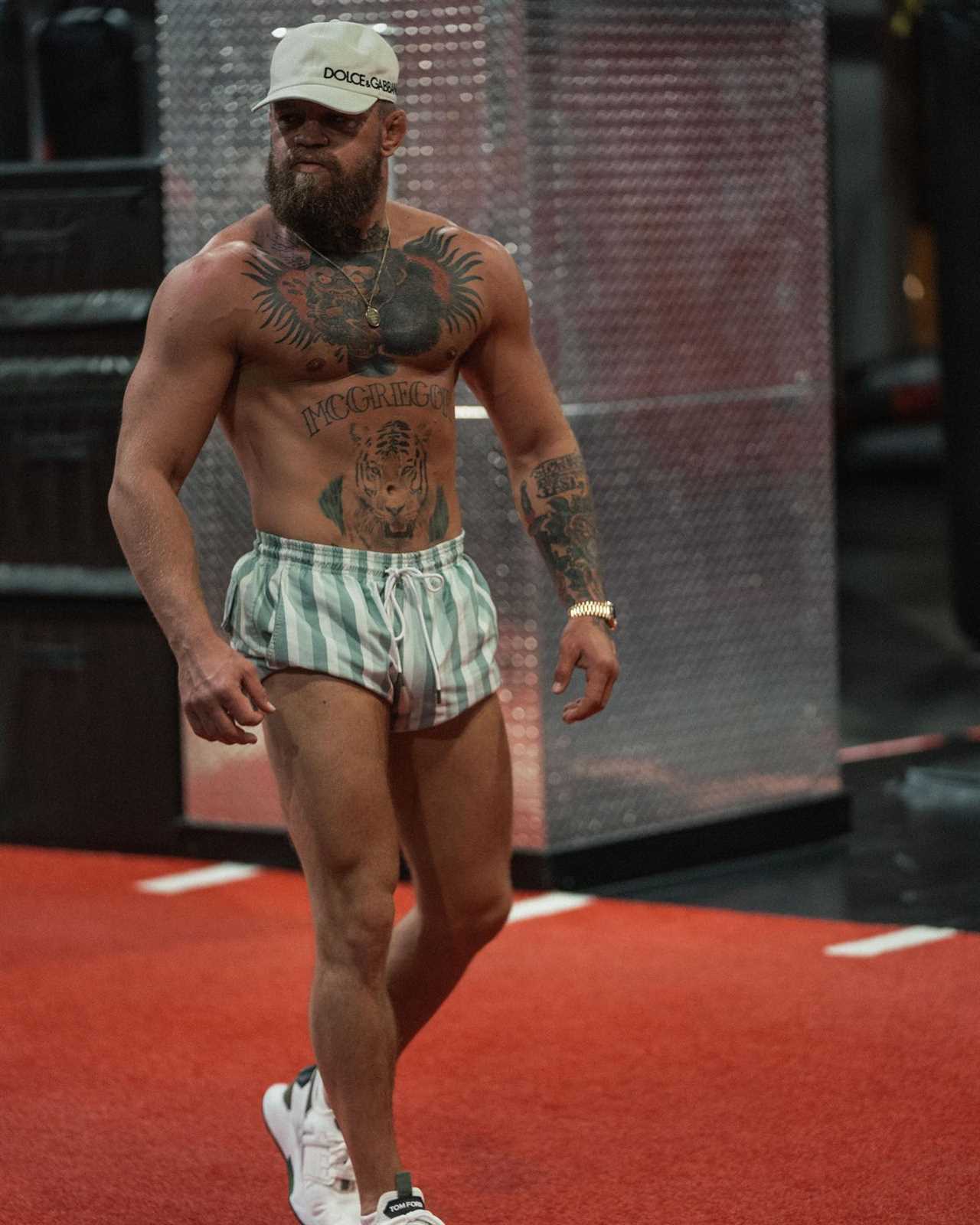 Conor McGregor is JACKED after UFC star Rocky 'training like Rocky ahead of his comeback next year.