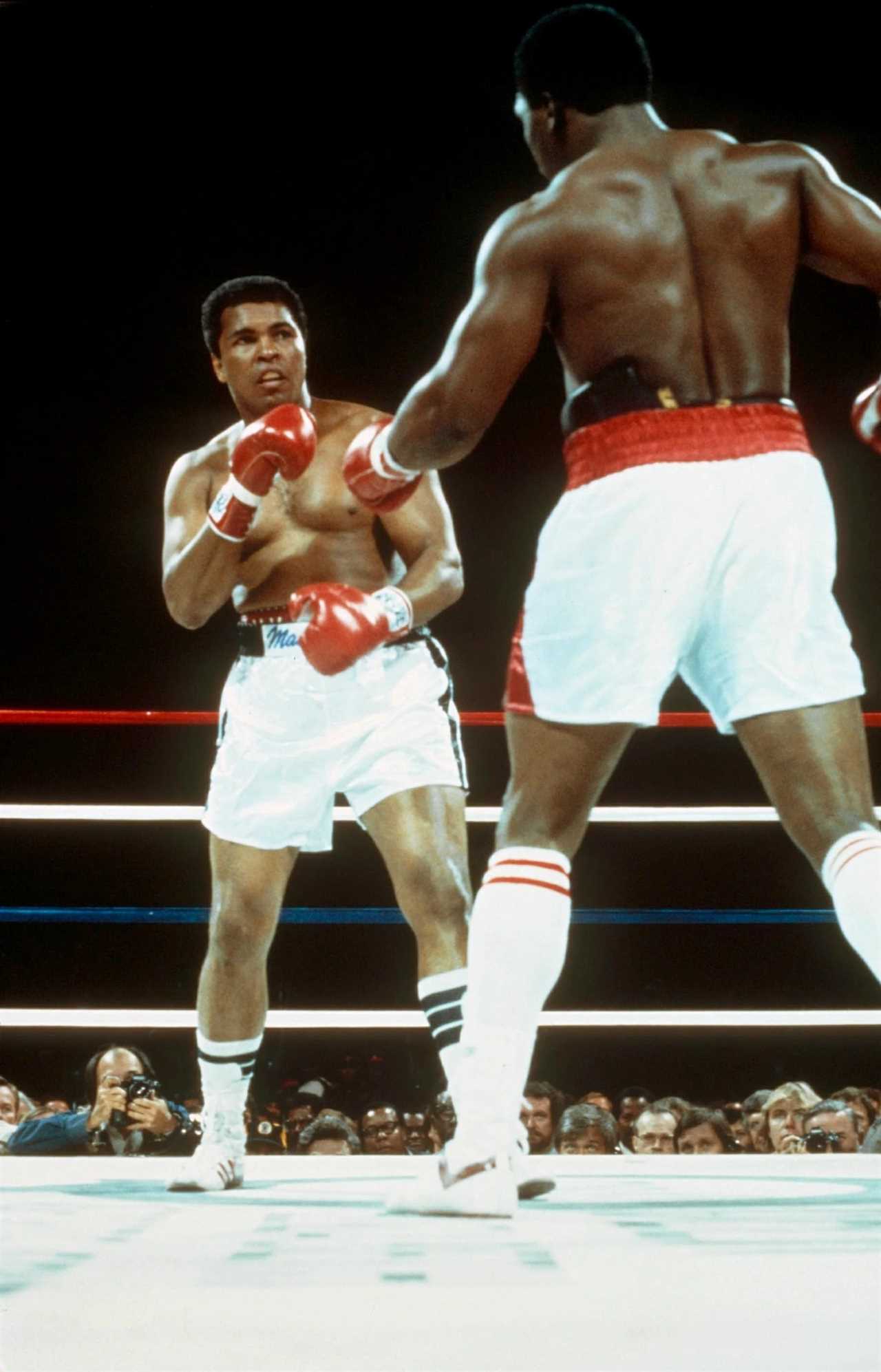 Muhammad Ali's legendary career came to an abrupt halt on December 11, almost 40 years ago. It was a sad and absurd end.