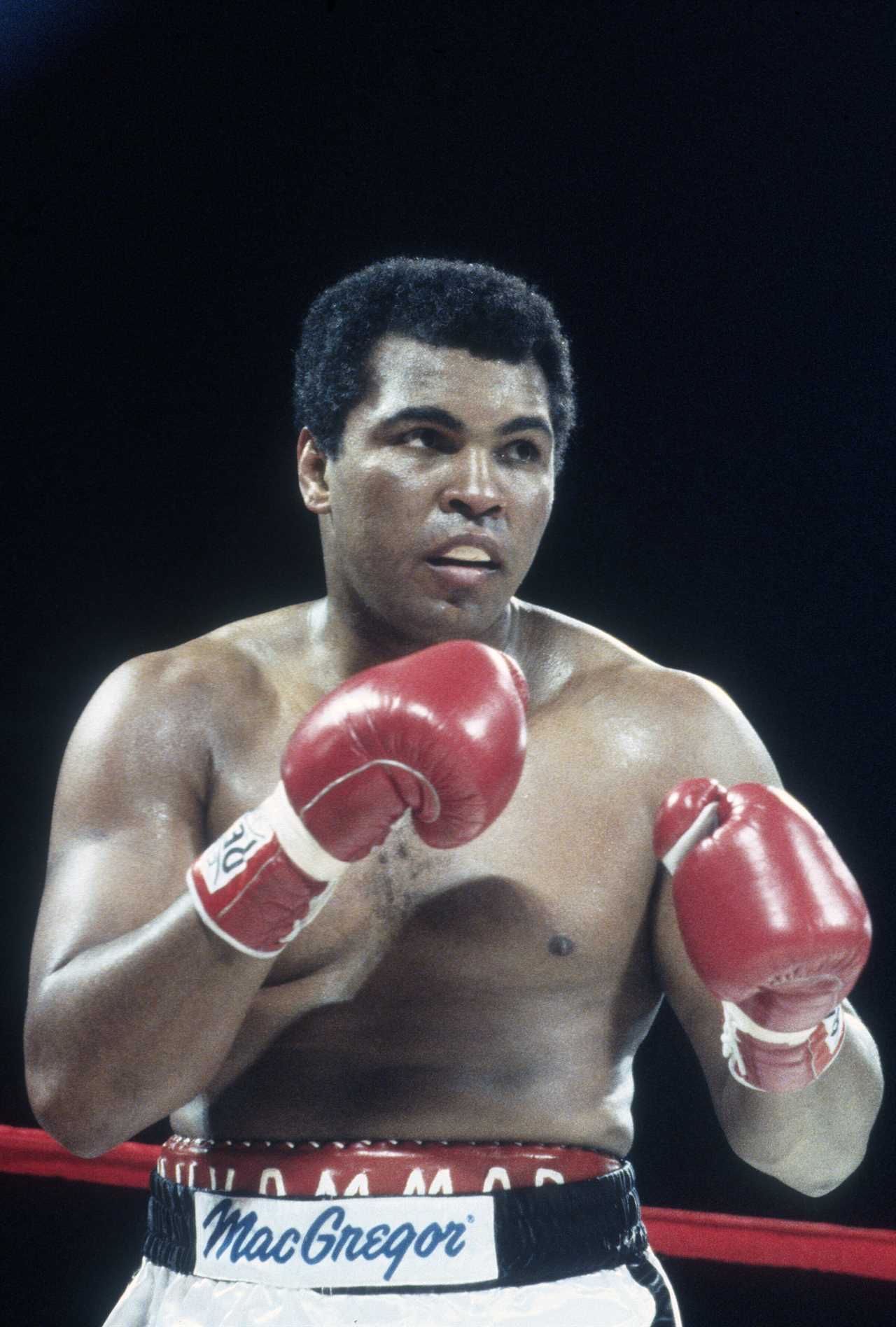 Muhammad Ali's legendary career came to an abrupt halt on December 11, almost 40 years ago. It was a sad and absurd end.